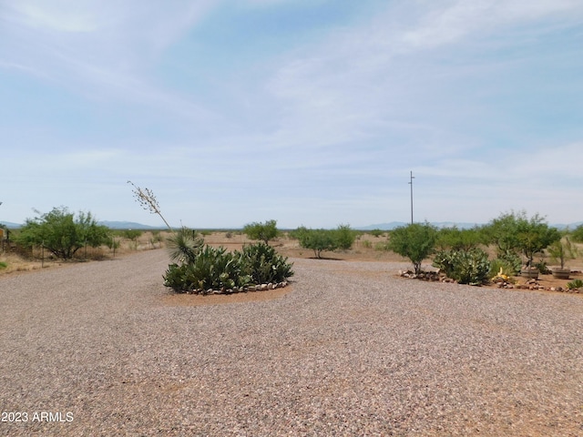 view of yard with a rural view