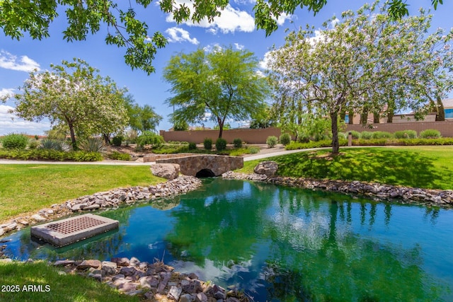 3687 E Blue Spruce Ln, Gilbert, AZ 85298 - exterior space