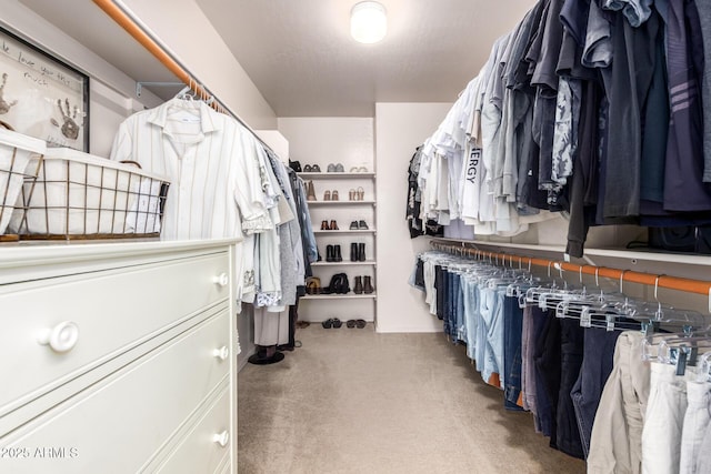 12642 N Mountainside Dr Unit B, Fountain Hills, AZ 85268 - spacious closet featuring carpet floors