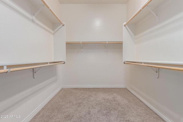 spacious closet featuring carpet floors