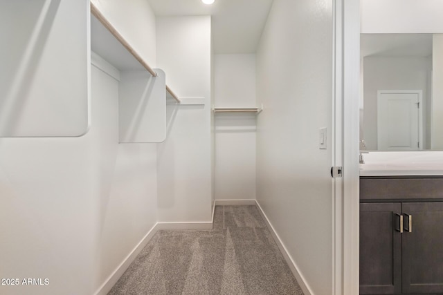 spacious closet with carpet flooring