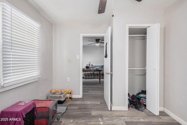 interior space with ceiling fan, wood-type flooring, and a closet