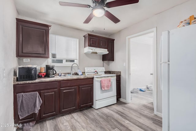 kitchen with ceiling fan, sink, white appliances, and light hardwood / wood-style floors