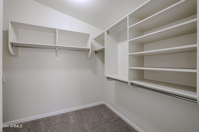 spacious closet featuring lofted ceiling and carpet floors