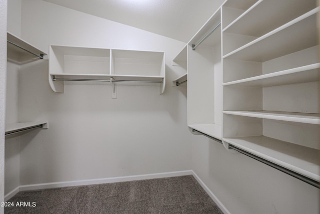 spacious closet with carpet flooring