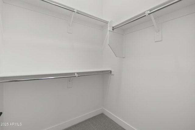 walk in closet with carpet flooring