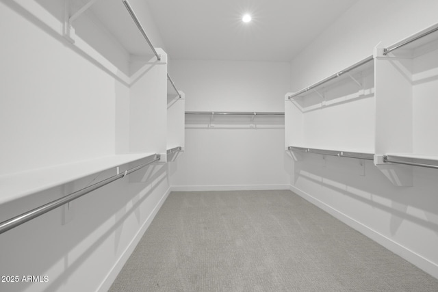 walk in closet featuring light colored carpet