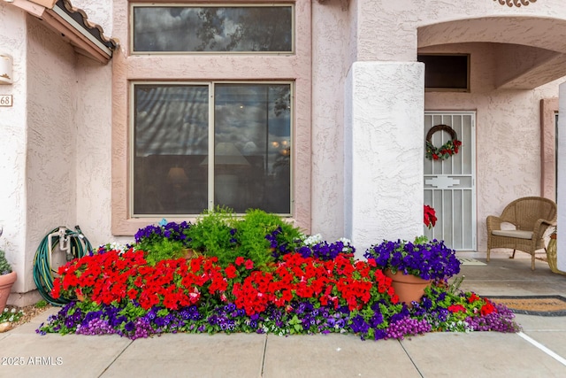 entrance to property featuring stucco siding