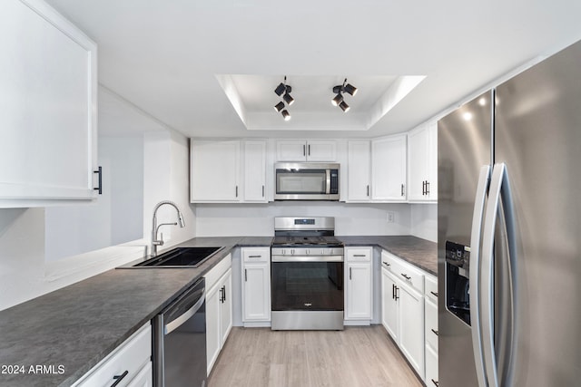 kitchen with a tray ceiling, sink, white cabinets, and appliances with stainless steel finishes