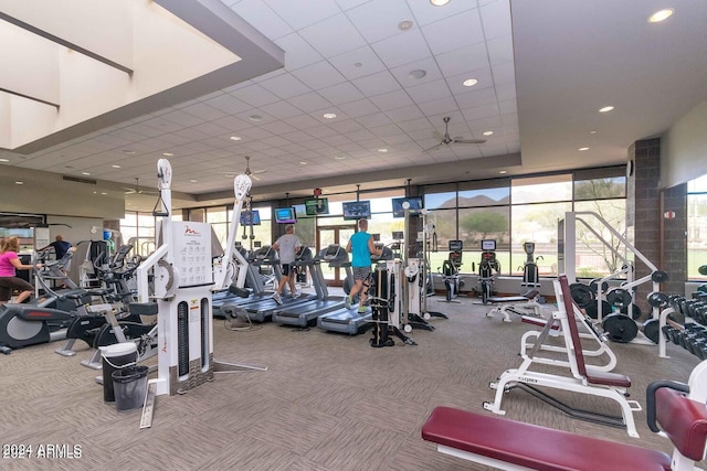 exercise room featuring carpet flooring, floor to ceiling windows, and a drop ceiling