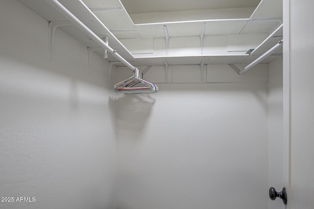 3440 N Meadow Dr, Pine, AZ 85544 - view of spacious closet