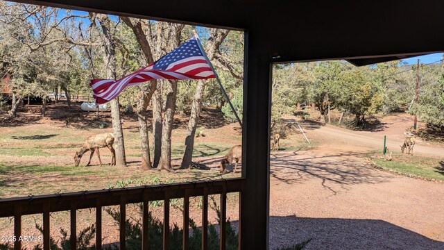 3440 N Meadow Dr, Pine, AZ 85544 - view of yard featuring view of wooded area and asphalt driveway