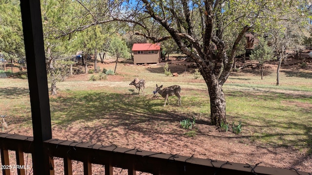 3440 N Meadow Dr, Pine, AZ 85544 - view of yard featuring a shed and an outdoor structure