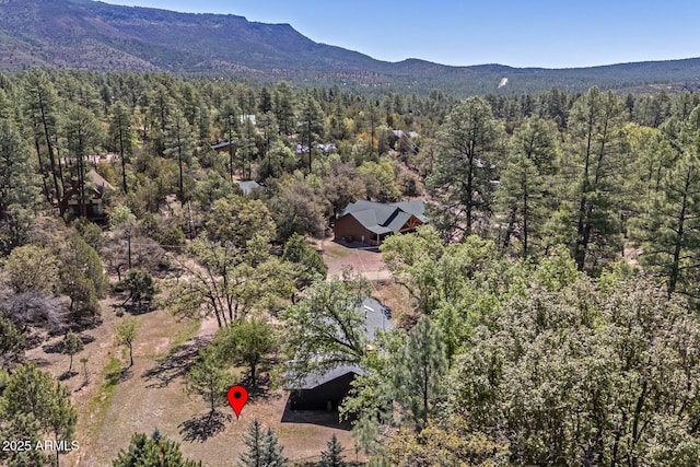 3440 N Meadow Dr, Pine, AZ 85544 - view of subject property featuring a forest and mountains