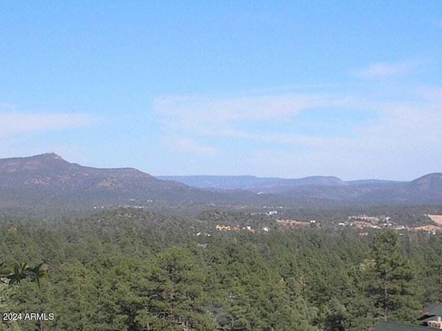 517 N Grapevine Dr Unit 440, Payson AZ, 85541 land for sale