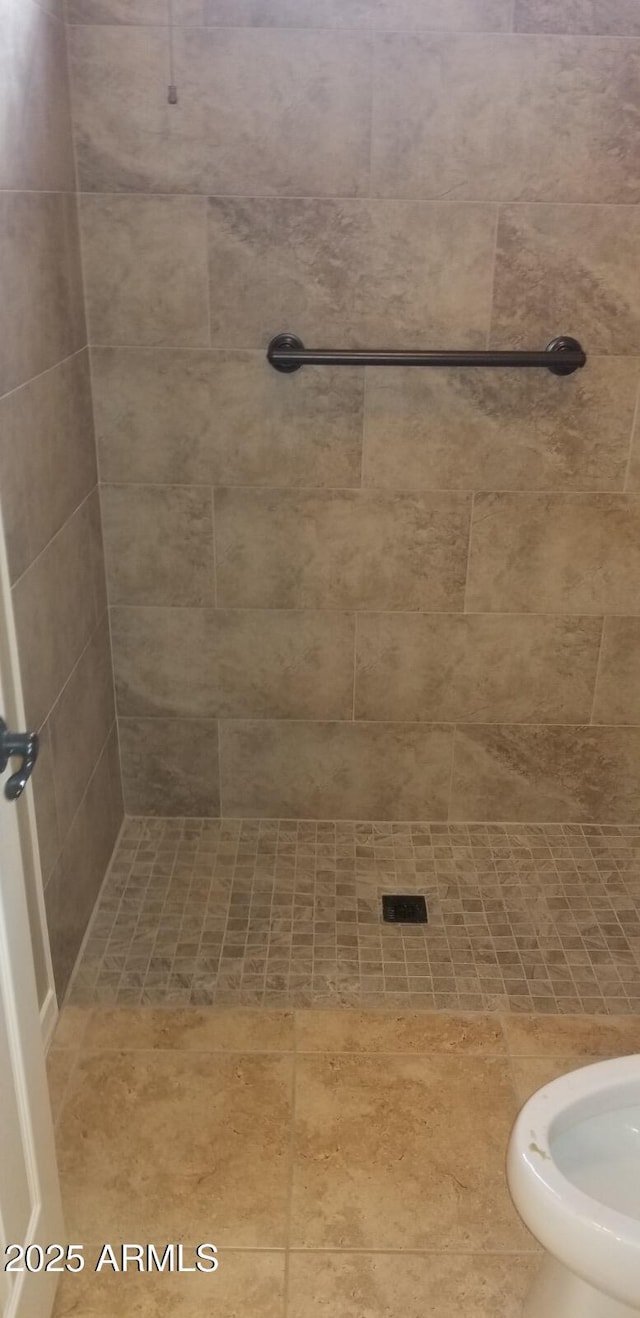 16758 W Apache St, Goodyear, AZ 85338 - bathroom featuring a tile shower