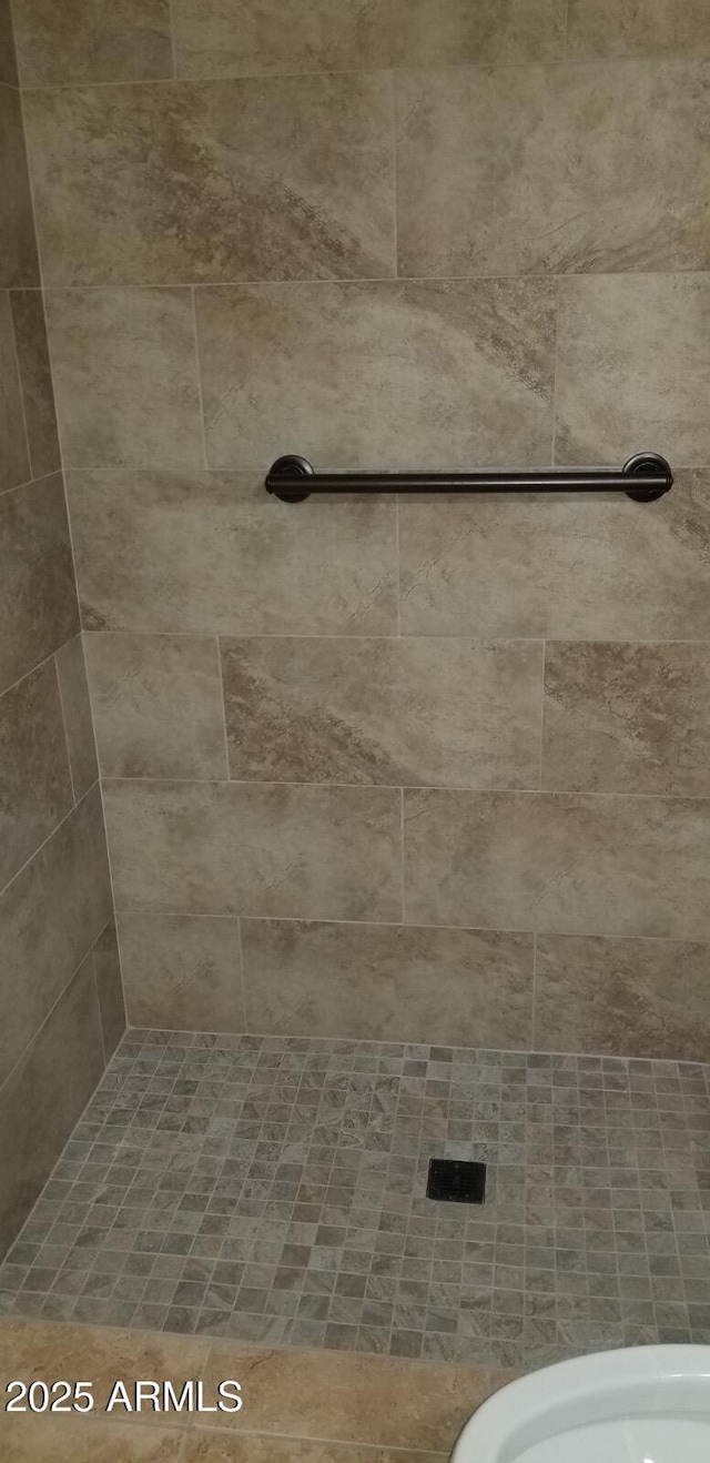 16758 W Apache St, Goodyear, AZ 85338 - bathroom with tiled shower