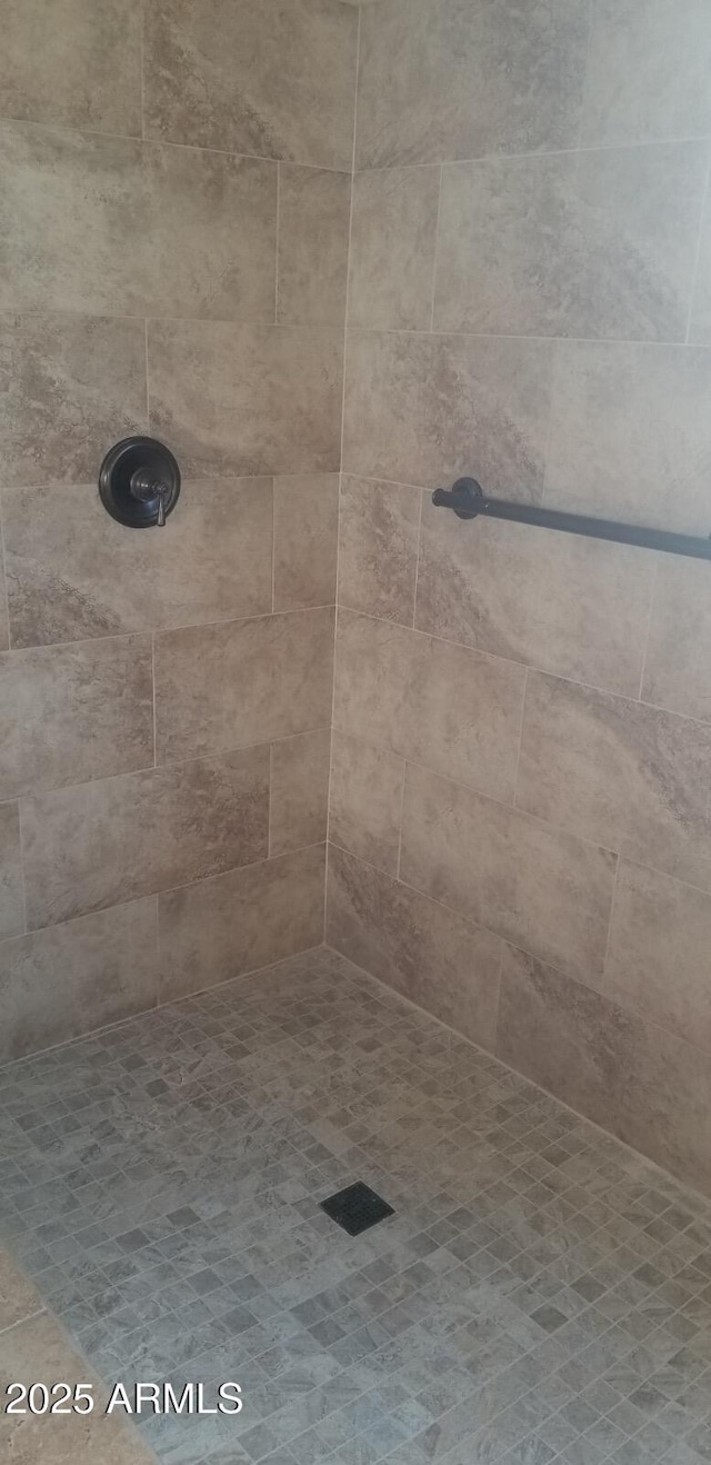 16758 W Apache St, Goodyear, AZ 85338 - bathroom view of a tile shower