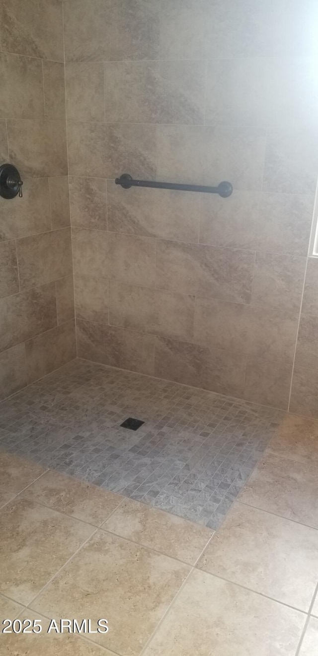 16758 W Apache St, Goodyear, AZ 85338 - bathroom with tiled shower
