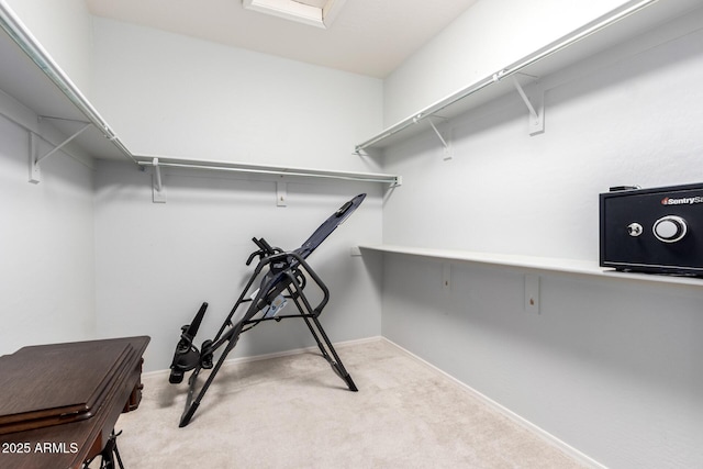 81 E Rock Wren Dr, San Tan Valley, AZ 85143 - walk in closet with carpet floors