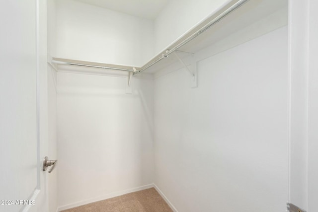 walk in closet with carpet flooring