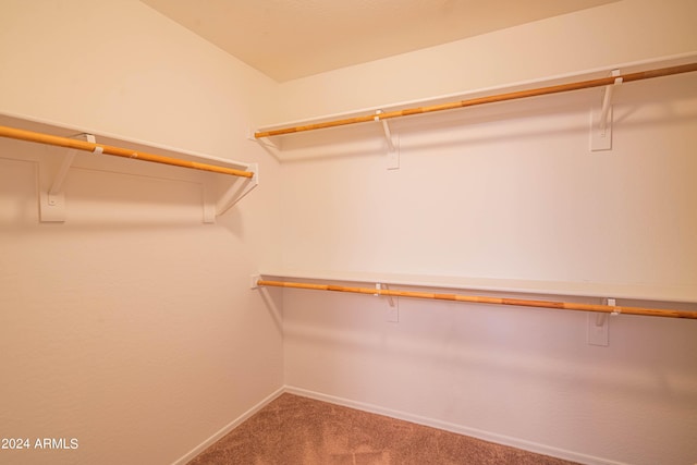 spacious closet with carpet flooring