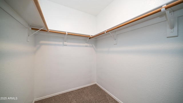 spacious closet with carpet