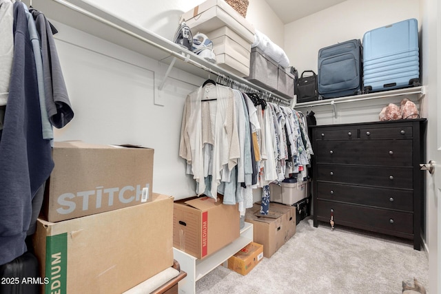 walk in closet with light colored carpet