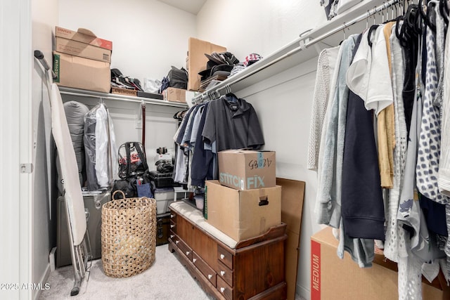 spacious closet featuring carpet