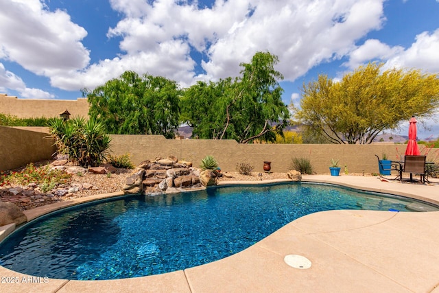 view of swimming pool with a patio, a fenced in pool, and a fenced backyard