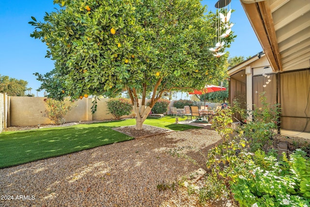 view of yard featuring a patio area