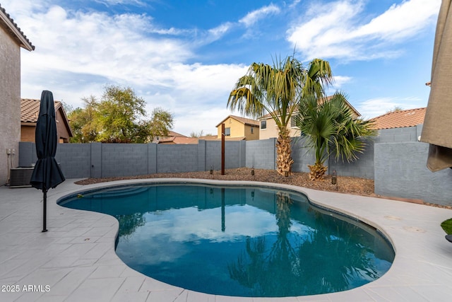 view of pool featuring a fenced in pool, a fenced backyard, and a patio