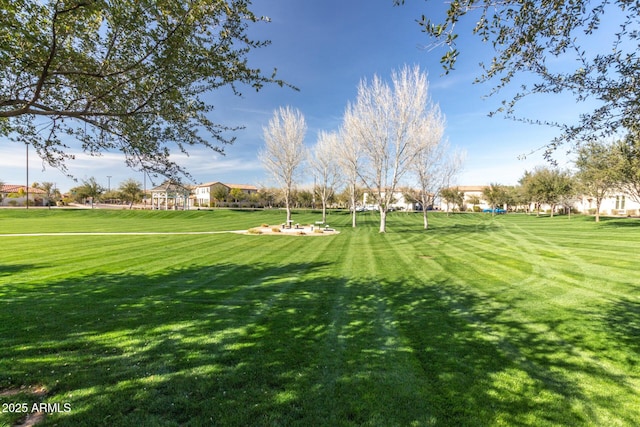 view of community with a yard