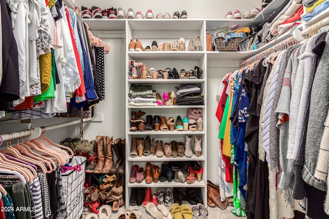 walk in closet with carpet flooring