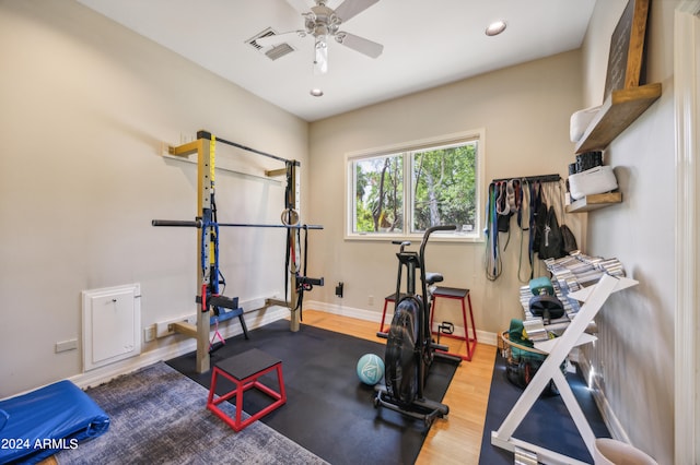 workout room featuring ceiling fan and hardwood / wood-style flooring