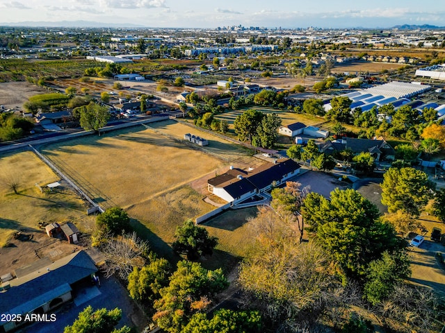 bird's eye view