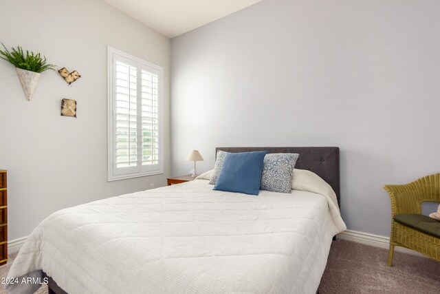 walk in closet with carpet flooring