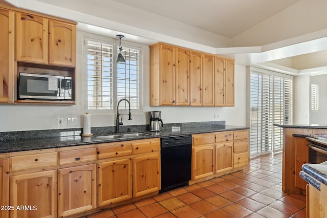 kitchen featuring black dishwasher, a healthy amount of sunlight, stainless steel microwave, and a sink
