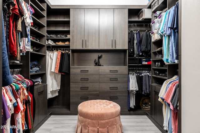 8132 W Hatfield Rd, Peoria, AZ 85383 - view of spacious closet