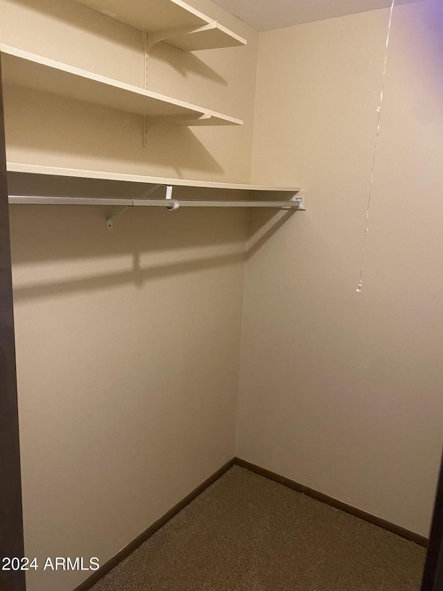 spacious closet featuring carpet flooring