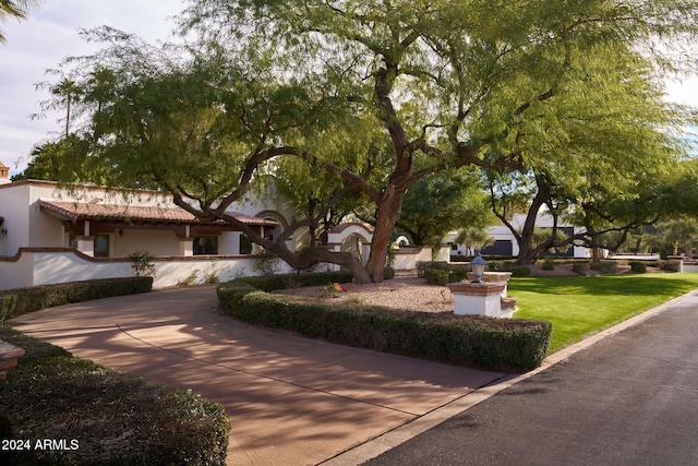 surrounding community featuring a yard