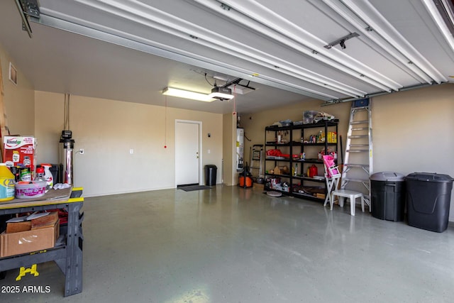 garage featuring a garage door opener and gas water heater