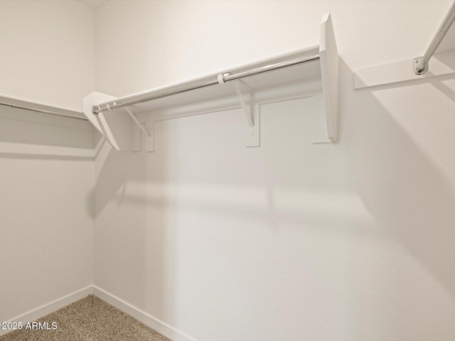 3550 N Camden Dr, Florence, AZ 85132 - view of walk in closet