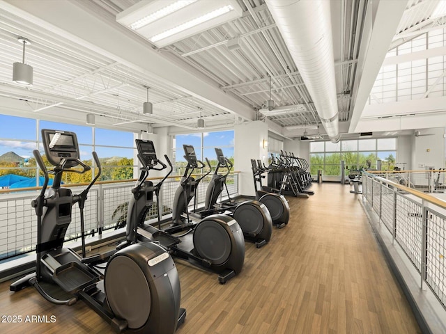 3550 N Camden Dr, Florence, AZ 85132 - workout area with wood finished floors and plenty of natural light