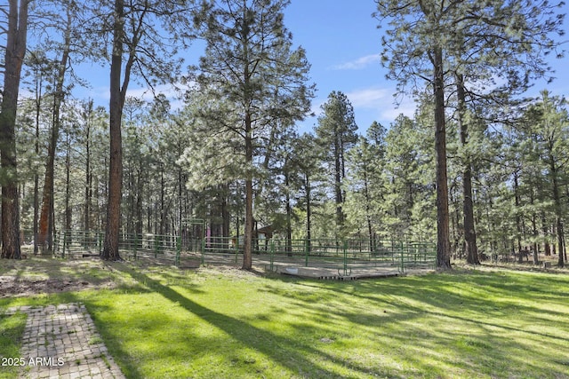 3017 Larson Loop, Forest Lakes, AZ 85931 - view of yard featuring a view of trees