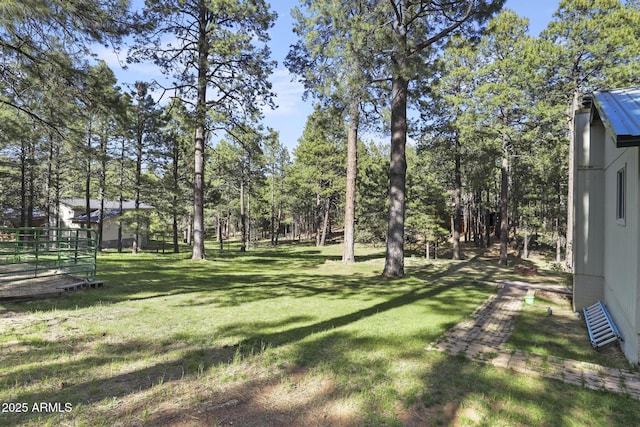 3017 Larson Loop, Forest Lakes, AZ 85931 - view of green lawn