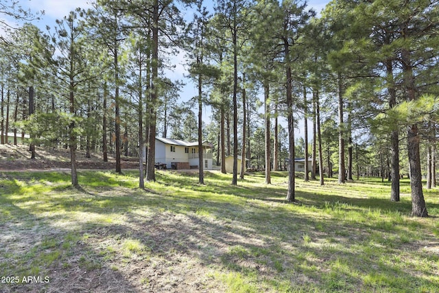 3017 Larson Loop, Forest Lakes, AZ 85931 - view of grassy yard