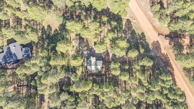 3017 Larson Loop, Forest Lakes, AZ 85931 - aerial view of property's location