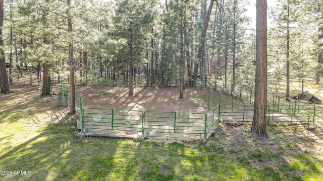 3017 Larson Loop, Forest Lakes, AZ 85931 - view of yard featuring fence