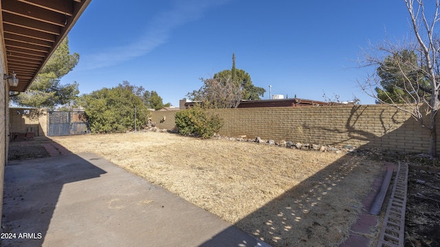 view of yard with a patio area